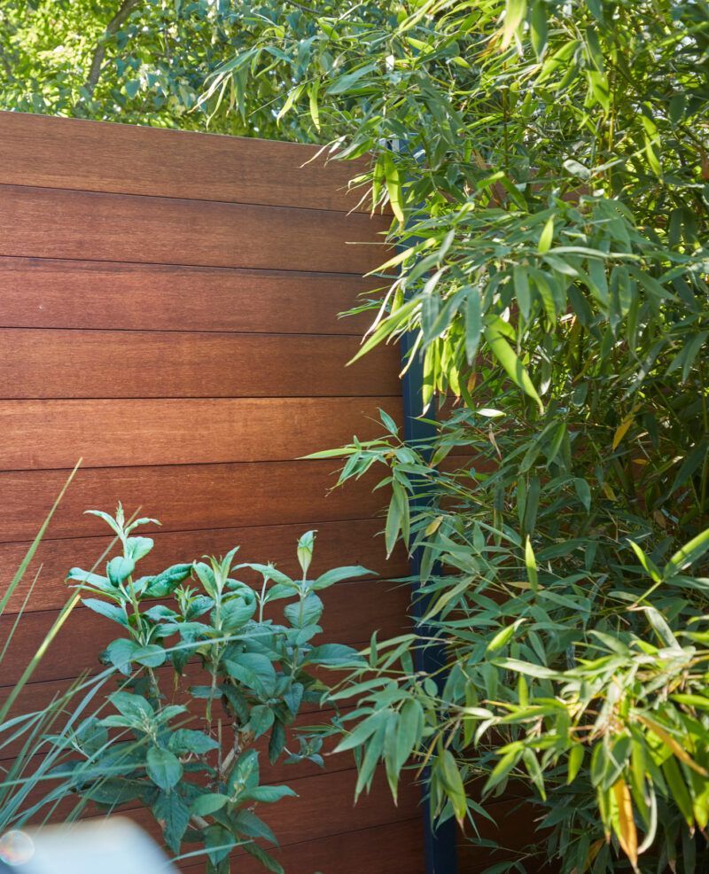 Bambushegn med bambus foran